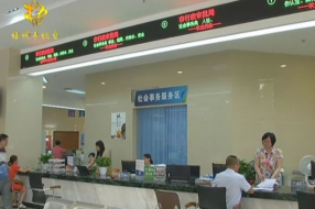 梧州市不断优化营商环境 电子政务服务能力持续增强