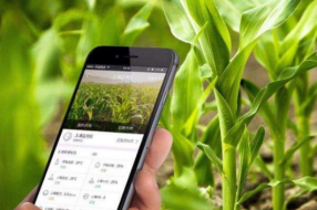 智慧农业的物联网体系 数据的收集来自多个方面