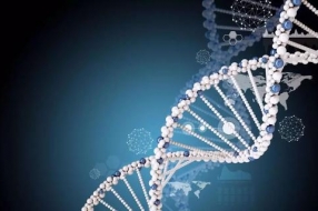 机器如何标记DNA数据存储的转折点