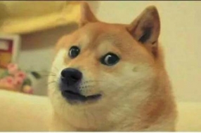 大数据报告 | 中国2.4亿“单身狗”的生活，正在悄悄改变