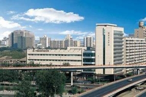 发挥电子交易系统作用 提升政务服务能力