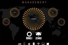 用于大规模本地非结构化数据存储的Scality RING8 SDS解决方案