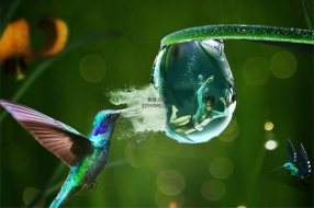 小心：廉价物联网设备的安全风险