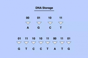 突破!DNA上存储数据成为现实