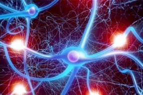 生态进化，工业互联网平台的必经之路