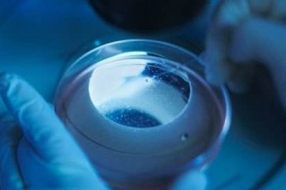 如何设置正确的数据备份策略?