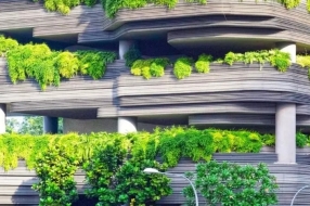 产业观察 | 智慧城市的“菜篮子”—— 城市农业