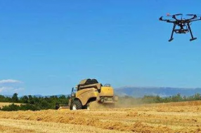 互联网+农业:让农产品“出村”让信息“进村”