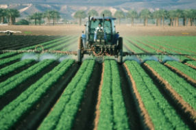 物联网中的音频和图像信号处理如何改变所有行业