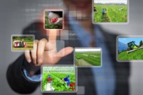 物联网潮流下,智慧农业该何去何从