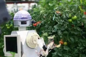 人工智能如何引领农业发展