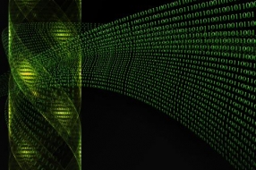 存储洞察:从技术到市场