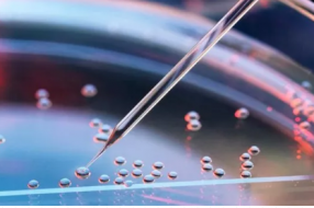 人工智能技术如何推动精准医疗的发展?