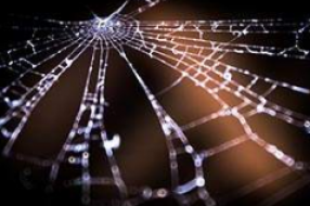 工业互联网产业发展如火如荼