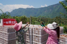 拼多多市值跻身中国互联网四强:下沉扎得深,上行升得快