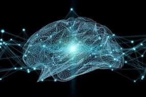 粒子机器人,能否敲开机器意识觉醒之门?