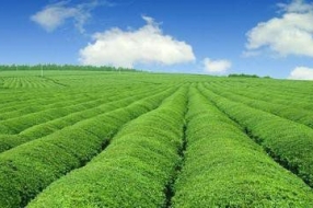 用活“大数据” 接力“大扶贫”