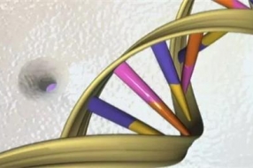 量子计算机如何重新定义医疗人工智能？