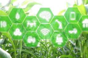 互联网+农业创新发展新型农业模式