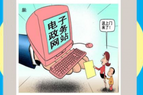 我国服务型政府电子政务建设中存在的问题