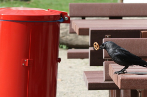 智慧城市物联网解决方案的五大示例