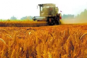 互联网+三农,农村电商应该怎么做?