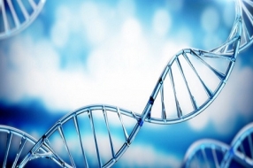 DNA存储技术新突破!一只3D打印兔子,向我们展现了“万物皆硬盘”的未来