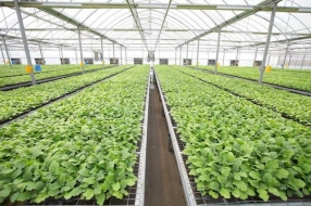 潍坊将建设农业大数据中心 发展智慧农业