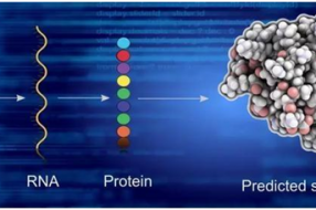 睿至信达将打造成为国际领先人工智能生态能力平台