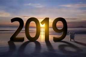 大数据,请回答2019