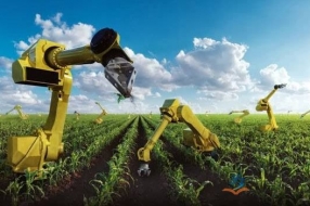 大数据赋能智慧农业发展