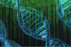 AI,加速计算推动医疗个体化转型