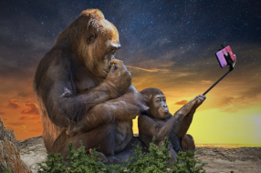 5G手机陆续推出,如何落实真正5G服务才是关键