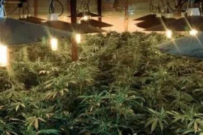 人工智能还是人工智障?——大型算法翻车现场