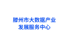 滕州市社会综合服务治理大联动平台