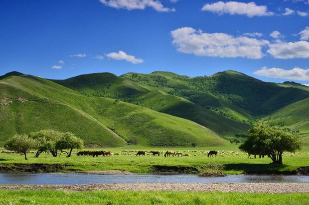 5G加持下 窄带物联网的路越走越宽