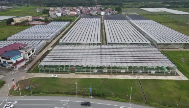 智能温室中的物联网技术,让温室大棚变得更“智慧”