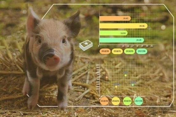 AI监测猪的情绪：快乐的小猪才会更好吃，华为阿里可能用得上