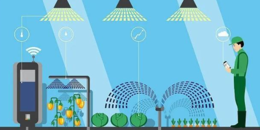万物互联的物联网,如何在农业领域绽放光芒?