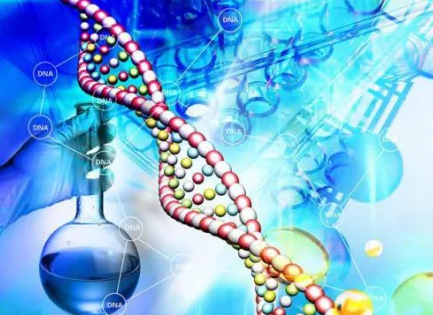 AI，能否识别不明癌症原发灶？