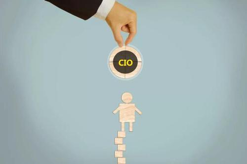 CIO修炼：浅谈战略、经营与管理