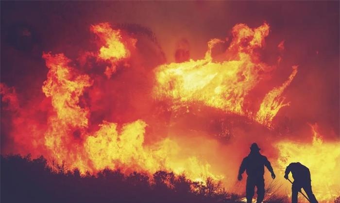 AI给消防员减负：加快响应速度 降低野火扩大风险