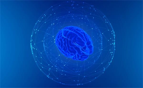 以形补形？科学家发现人脑连接能帮助构建更好的人工智能