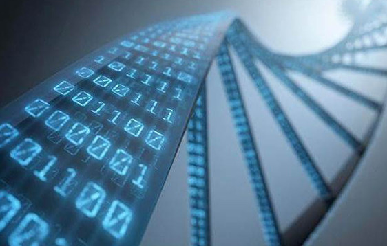 不谈“存储”,何来“新型数据中心”?