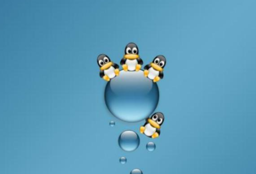 Linux运维和桌面运维有什么区别？