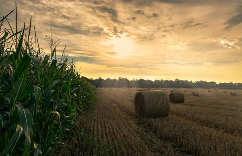 物联网使农业运营更精准的7种方式