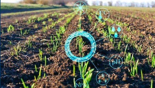 人工智能在农业中的应用之：农作物种植预测
