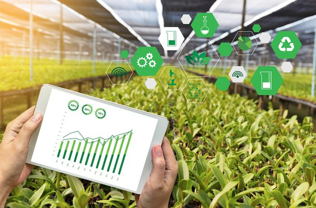 “互联网+”带来的农业新变革，如何实现农业可持续发展