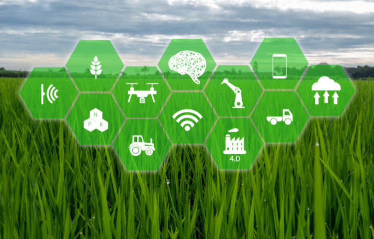 科技改变农业，揭秘智慧农业的奥秘