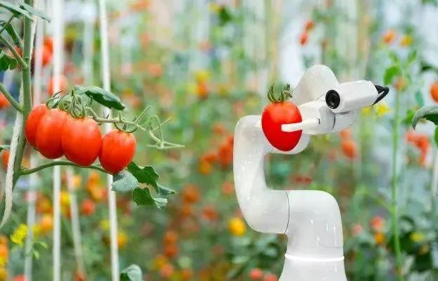 生成式人工智能在农业中的应用